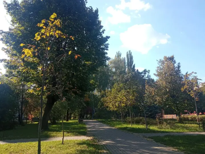 Weather on October 13: where temperatures of up to 23°C are expected in Ukraine