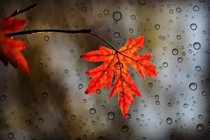 The beginning of the week will be warm but rainy — forecasters have issued a forecast