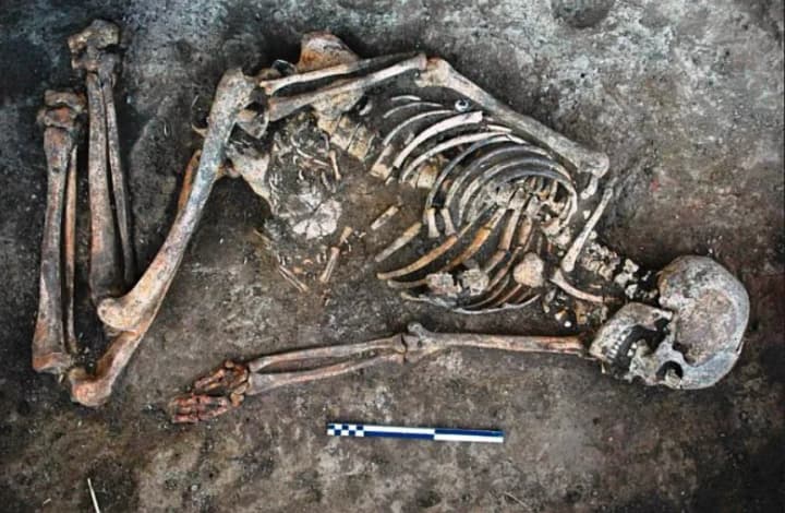 В Южной Африке учёные обнаружили следы использования животного белка людьми 60 тысяч лет назад