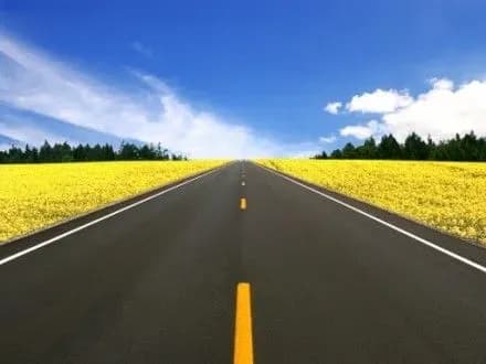 u-dnipri-zyavitsya-dorozhnya-rozmitka-yaka-ne-potrebuye-onovlennya-protyagom-5-rokiv