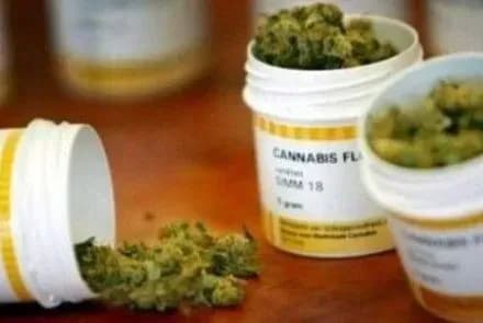 v-nimechchini-dozvolili-prodavati-marikhuanu-v-medichnikh-tsilyakh