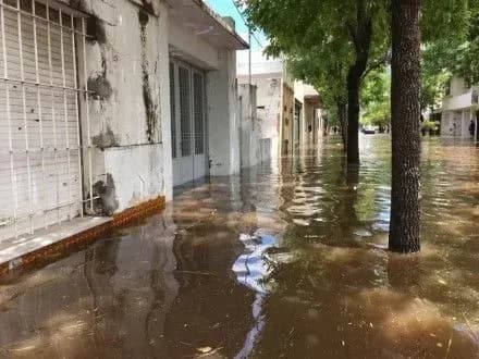 poveni-na-pivnichnomu-skhodi-argentini-zavdali-masshtabnikh-vtrat