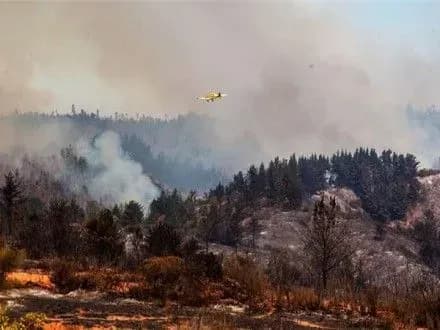 shestero-lyudey-zaginuli-cherez-lisovi-pozhezhi-u-chili