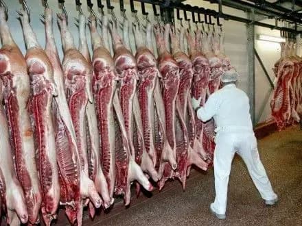 ukrayina-u-pershomu-kvartali-2017-r-skorotila-virobnitstvo-svinini-na-3-4-a-loza