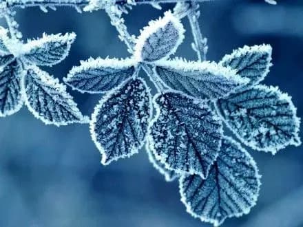 sogodni-v-stolitsi-istotnikh-opadiv-ne-bude-3