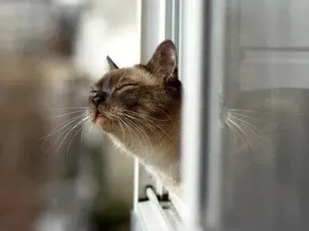 u-pershiy-den-vesni-temperatura-v-ukrayini-pidvischitsya