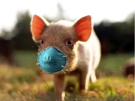 zamist-borotbi-z-achs-derzhava-prosto-peretvorilasya-na-statista-i-palamar