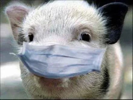 derzhprodspozhivsluzhba-ne-maye-chitkogo-planu-diy-schodo-podolannya-achs-s-trigubenko