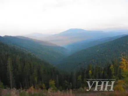 aktsiya-z-ozelenennya-karpat-startuvala-na-zakarpatti