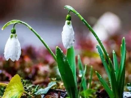 sogodni-v-ukrayini-istotnikh-opadiv-ne-bude