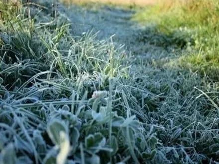 temperatura-povitrya-sogodni-kolivatimetsya-vid-trokh-gradusiv-morozu-do-15-tepla