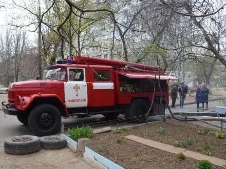 pyatipoverkhivka-gorila-u-mikolayevi-1