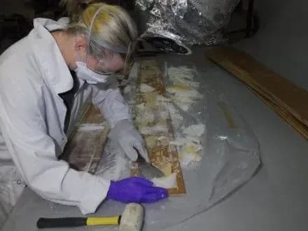 v-avstraliyi-viluchili-nebachenu-partiyu-metamfetaminu