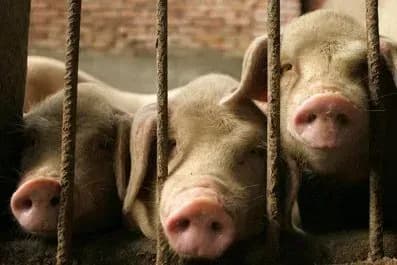 karantin-cherez-achs-diye-v-13-oblastyakh-ukrayini