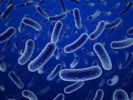 na-zaporizhzhi-zafiksovano-dva-vipadki-botulizmu