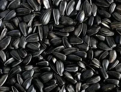 u-nasinni-semki-ta-klatsni-syemki-viyavili-toksichni-elementi-midi-laboratorni-doslidzhennya