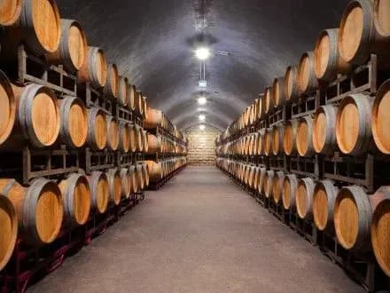 vino-stalo-naydokhidnishim-iz-alternativnikh-aktiviv-u-minulomu-rotsi