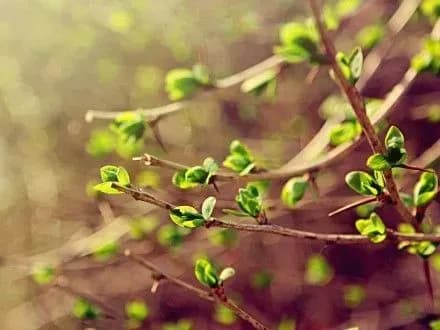 zavtra-v-ukrayini-ochikuyetsya-minliva-khmarnist-2