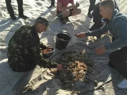 na-khersonschini-viyavili-brakonyeriv-z-ulovom-9-milyoniv-griven