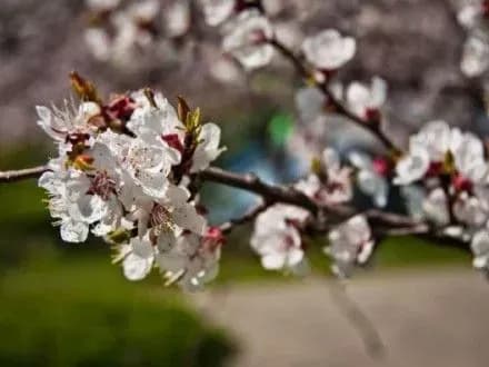 meteorologi-nazvali-nayteplishiy-i-naykholodnishiy-dni-travnya-v-kiyevi