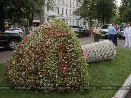 klumba-u-viglyadi-buketa-narechenoyi-zyavilasya-v-tsentri-kharkova