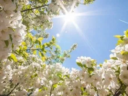 sogodni-u-kiyevi-bez-opadiv-8