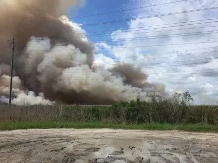 lisi-uzhe-kilka-dniv-goryat-u-ssha-naysilnishi-pozhezhi-v-arizoni-ta-yuti