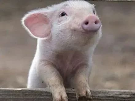 pokaznik-zakhvoryuvanosti-achs-za-ostanni-5-rokiv-zris-bilsh-nizh-u-7-raziv