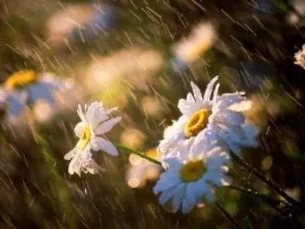 sogodni-v-ukrayini-ochikuyetsya-nestiyka-pogoda-2