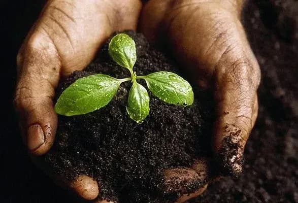 poroshenko-anonsuvav-zemelniy-zakon-yakiy-znischit-pole-dlya-koruptsiyi