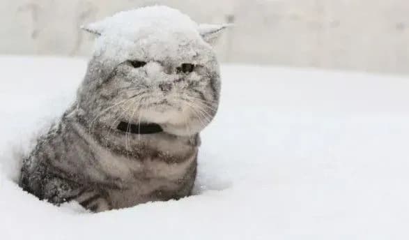 sogodni-v-ukrayini-ochikuyetsya-dosch-ta-mokriy-snig-2