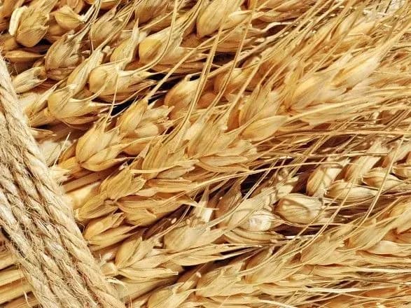 groysmanu-vidomo-pro-bagatomilyardnu-skhemu-vivedennya-aktiviv-z-dpzku-nardep