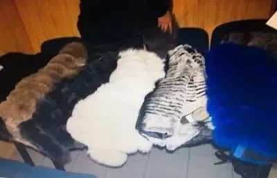 moldovanin-zapakuvav-u-stelyu-vagona-sim-shub-ta-ikru