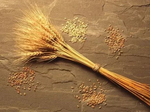 politsiya-zagubila-originali-dokumentiv-schodo-bankrutstva-dak-khlib-ukrayina