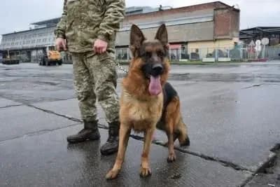 politseyskiy-dnr-khotiv-vtekti-do-nimechchini-cherez-svavillya-boyovikiv