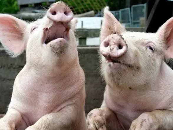 duda-skhvaliv-budivnitstvo-parkanu-na-kordoni-z-ukrayinoyu-dlya-zakhistu-vid-achs