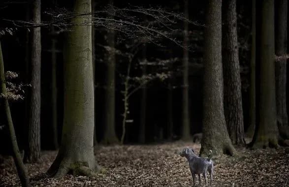 sogodni-na-bilshosti-teritoriyi-ukrayini-istotnikh-opadiv-ne-ochikuyetsya-2