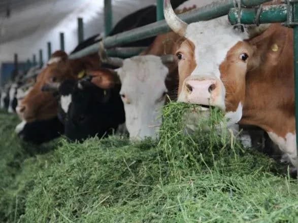 groysman-rozpoviv-yak-uryad-pidtrimuvatime-agrosektor-u-2018-rotsi