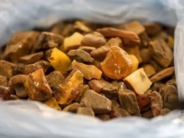 mitnik-na-zakarpatti-dozvoliv-vivezti-v-ugorschinu-860-kg-burshtinu