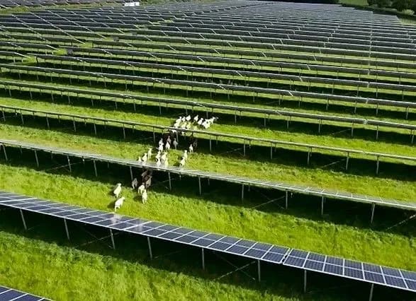 energetichne-spivtovaristvo-yes-pidtrimka-vidnovlyuvalnikh-dzherel-v-ukrayini-ye-nadmirnoyu