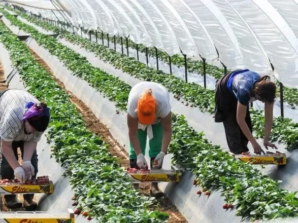 prognoz-nbu-trudova-migratsiya-lishatimetsya-visokoyu