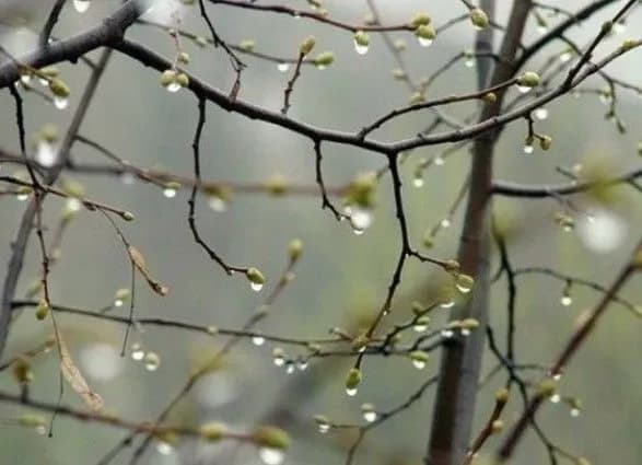 sinoptiki-prognozuyut-zavtra-na-odeschini-do-16-gradusiv