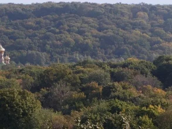 prokuratura-vimagatime-v-sudi-pripiniti-budivnitstvo-ofisnogo-tsentru-v-natsparku-golosiyivskiy