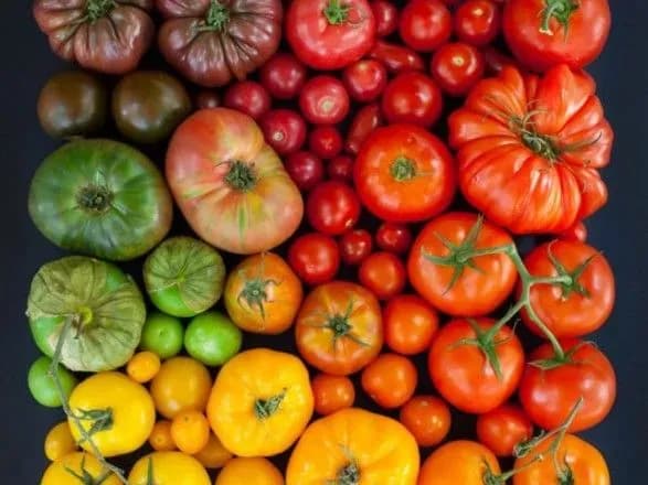 na-vikhidnikh-u-kiyevi-proydut-traditsiyni-silskogospodarski-yarmarki-1