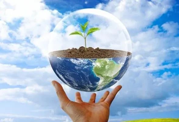 polovina-vidiv-roslin-i-tvarin-v-nebezpetsi-cherez-zminu-klimatu-doslidzhennya