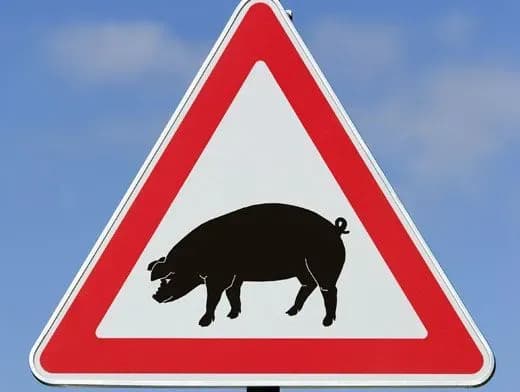 novi-spalakhi-achs-zafiksovani-u-dvokh-oblastyakh-ukrayini-1