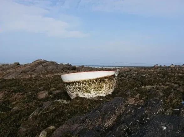 frantsuzki-fermeri-znayshli-fragment-spacex