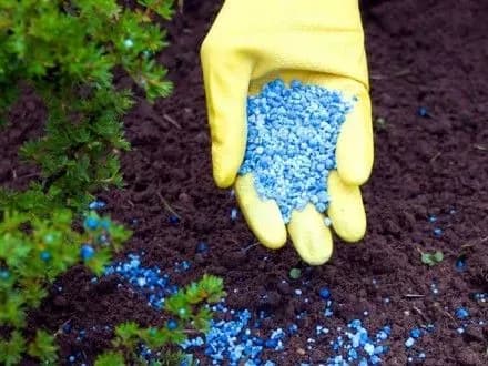 mindobriva-z-rf-uryad-doruchiv-dfs-pereviriti-sumsku-mitnitsyu