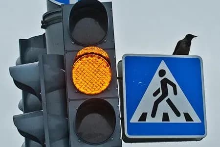 zamist-vidmini-zhovtogo-signalu-v-ukravtodori-nazvali-metod-zmenshennya-dtp