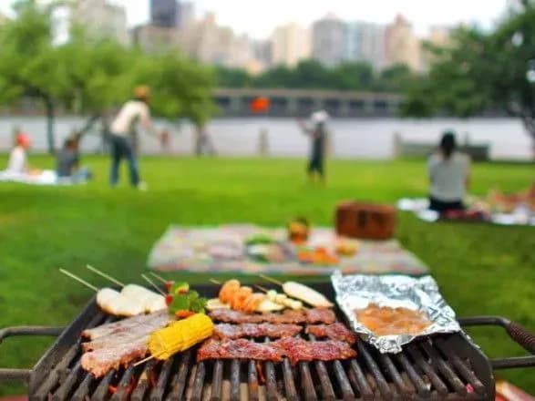 piknik-na-travnevi-u-kiyevi-nazvali-mistsya-dlya-vidpochinku